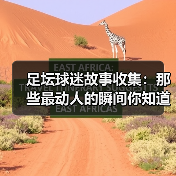 足坛球迷故事收集：那些最动人的瞬间你知道吗？