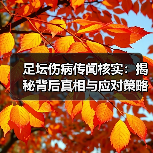 足坛伤病传闻核实：揭秘背后真相与应对策略