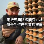 足坛经典队徽演变：从符号到传奇的背后故事