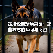 足坛经典球场氛围：那些难忘的瞬间与秘密