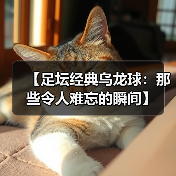 【足坛经典乌龙球:那些令人难忘的瞬间】(图2) 【足坛经典乌龙球:那些令人难忘的瞬间】(图2)