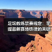 足坛教练禁赛规定:掌握最新赛场铁律的关键指南(图3) 足坛教练禁赛规定:掌握最新赛场铁律的关键指南(图3)