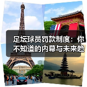 足坛球员罚款制度:你不知道的内幕与未来趋势(图3) 足坛球员罚款制度:你不知道的内幕与未来趋势(图3)