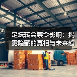 足坛转会禁令影响:揭露隐藏的真相与未来趋势(图4) 足坛转会禁令影响:揭露隐藏的真相与未来趋势(图4)