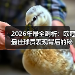 2026年最全剖析:欧冠最佳球员表现背后的秘密(图3) 2026年最全剖析:欧冠最佳球员表现背后的秘密(图3)