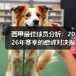 西甲最佳球员分析:2026年赛季的巅峰对决揭秘(图4) 西甲最佳球员分析:2026年赛季的巅峰对决揭秘(图4)