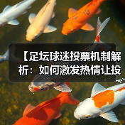 【足坛球迷投票机制解析：如何激发热情让投票更公平】